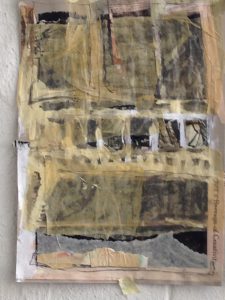collage3